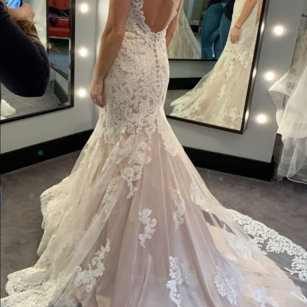 Beautiful wedding dress, champagne underneath with lace and sparkle overlay. - Picture 5 of 12